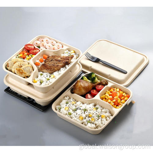 Disposable Sugarcane Bagasse Lunch Box 100% Compostable Sugarcane pulp Lunch Box Supplier